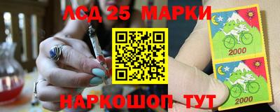 СК Можга