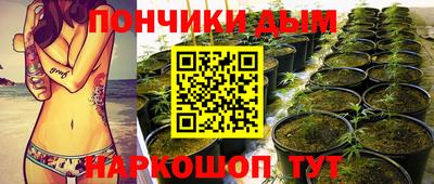 метадон Моздок