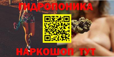 прущие грибы Можайск