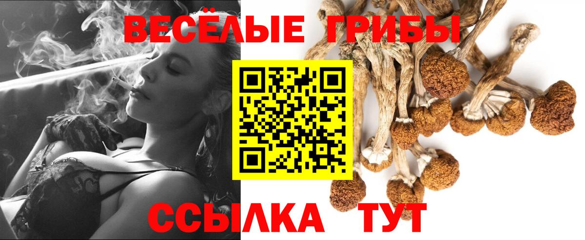 Псилоцибиновые грибы Cubensis  Вход с VPN  Унеча 